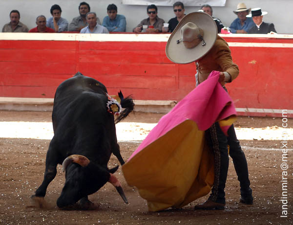 Jer�nimo a la ver�nica