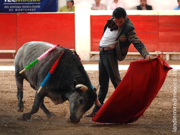 Muleta rozando la arena