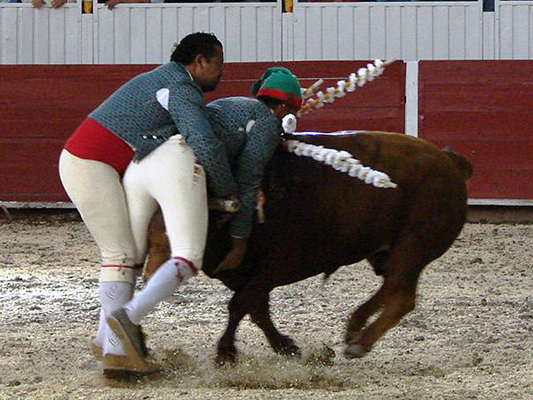 Valor de los Forcados Queretanos