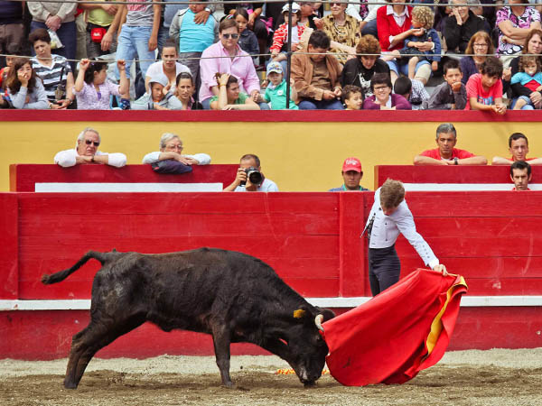 Todo un referente para los ni�os