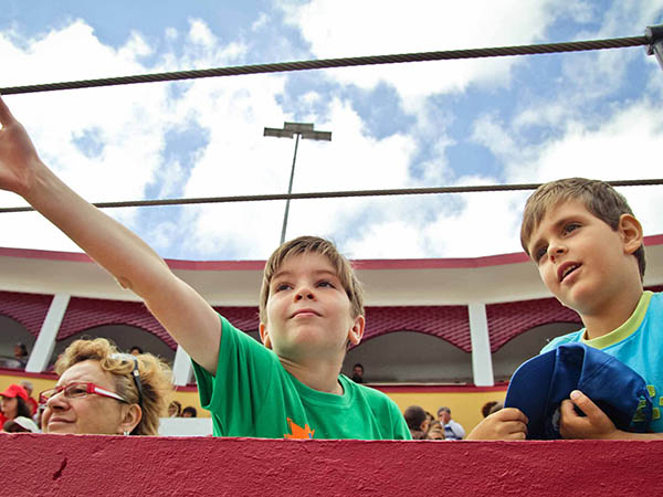 Con acceso libre a los tendidos