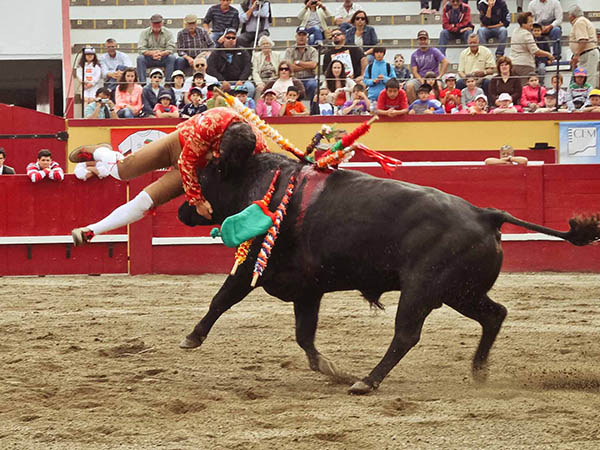 Forcados juveniles de la TTT