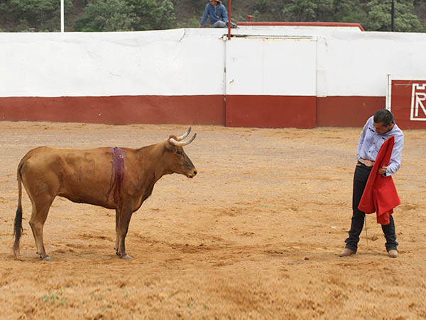 La suerte del cartucho