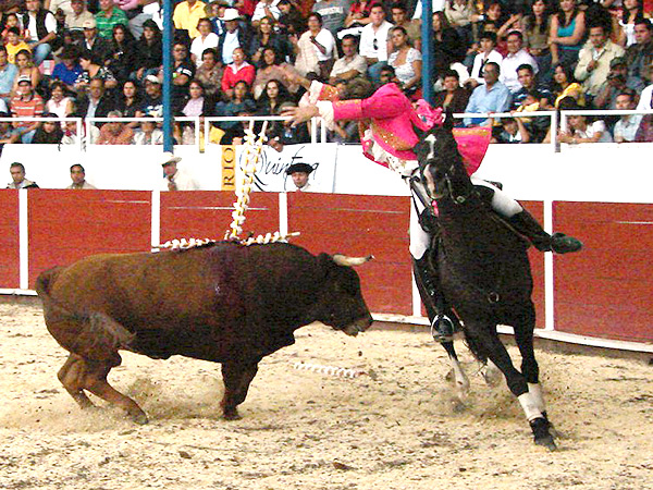 En lo alto del morrillo