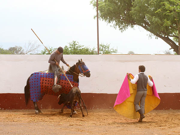A sacarla del caballo