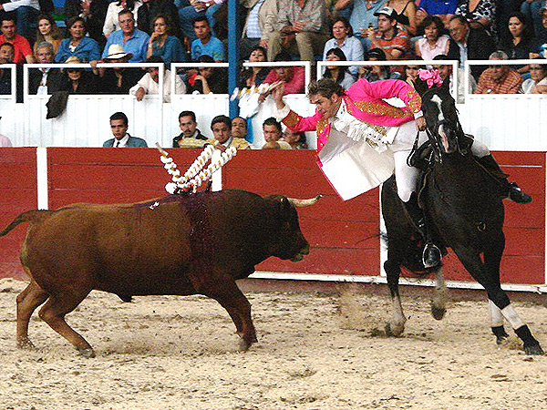 Una gran actuaci�n del cavaleiro