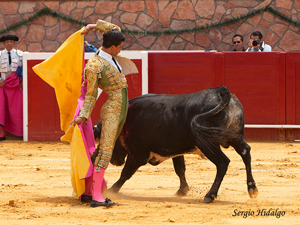 Mostr�ndose con el capote