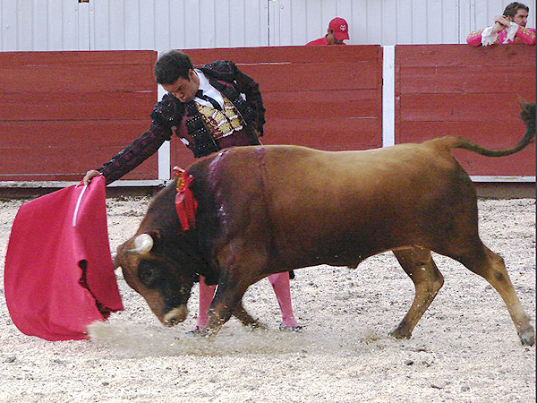 Buen momento del Calesa