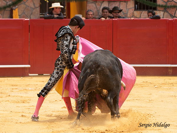 Jorge, bien con el capote