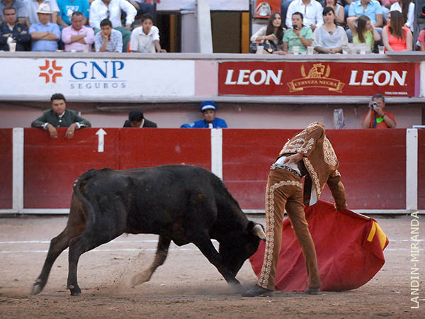 Series por ambos pitones