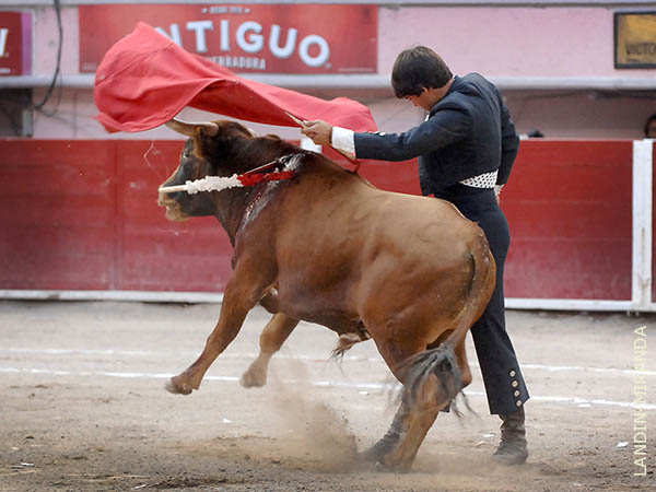 Estimulado con las palmas