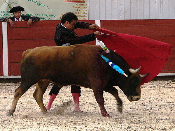 Remate con el manso primero