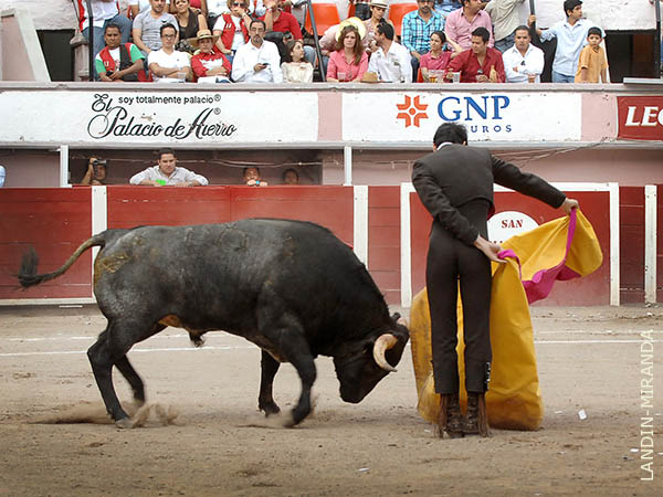 Como un poste en las gaoneras