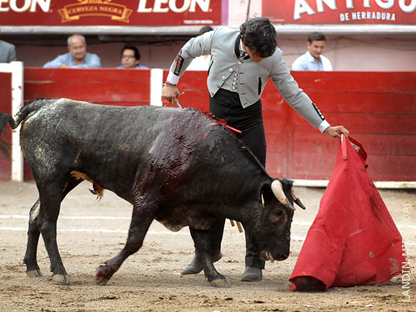 Embestida franca del 