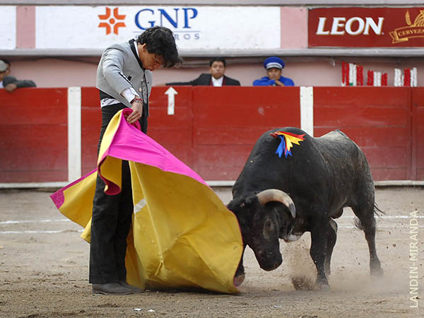 Ver�nicas de Mario Aguilar