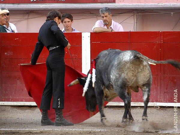 Sac� todo lo que ten�a su enemigo