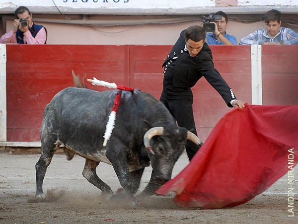 Toreo en la l�nea del ejemplar