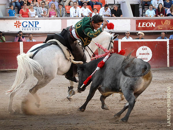 Una rosa en los medios