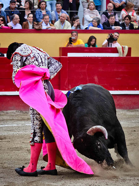 Le hizo una faena de aguante