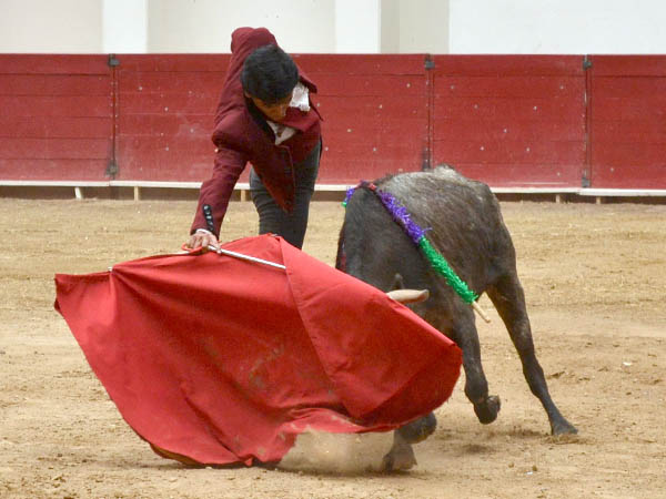 Llev�ndolo toreado