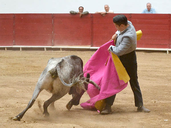 Abrochando con la media