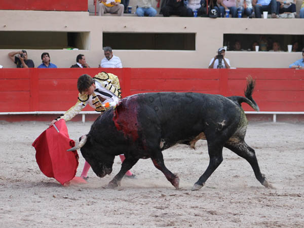 Michelito con el segundo de su lote