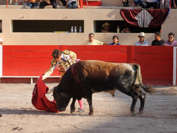En los medios, por el derecho