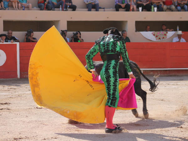 Zapopinas norte�as