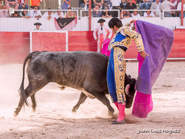 Evocando al poeta del toreo