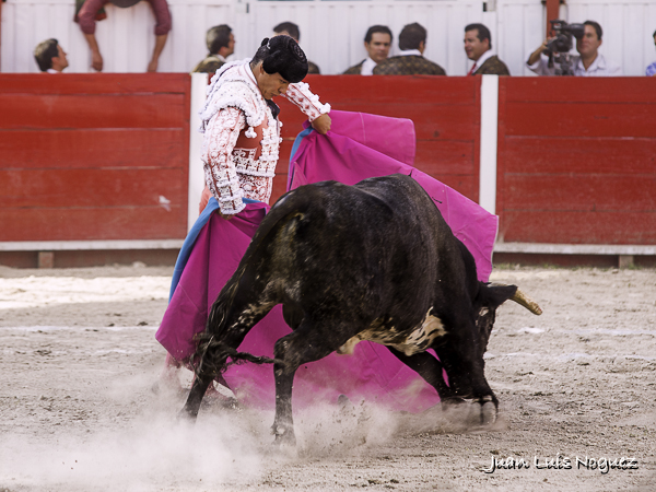 Recogiendo la embestida