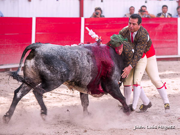 Valientes mazatlecos