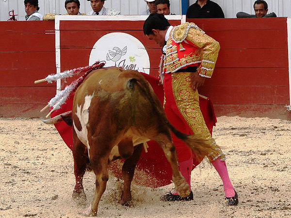 Estir�ndose Ortega