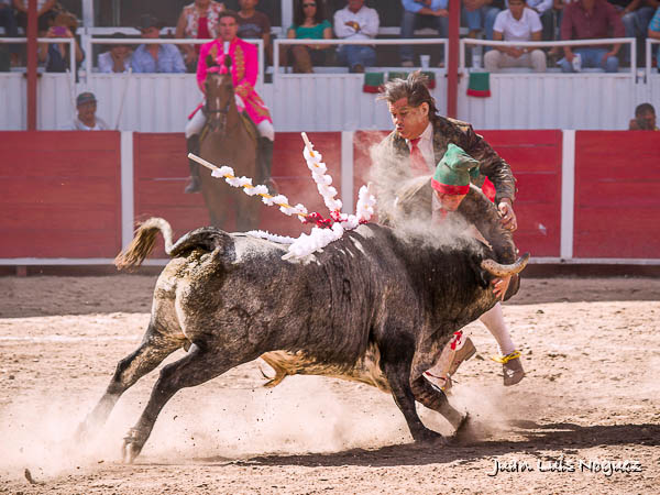 Deseos de agradar al respetable