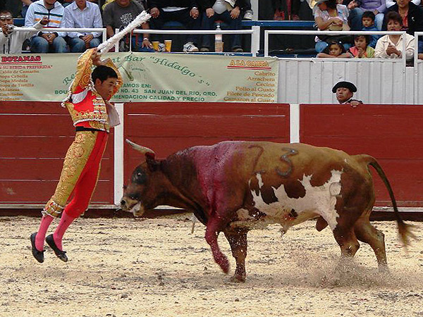 Levant�ndose del piso