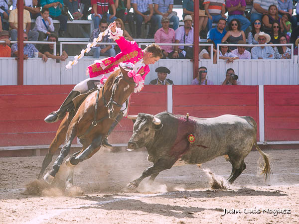 Encelando de costado