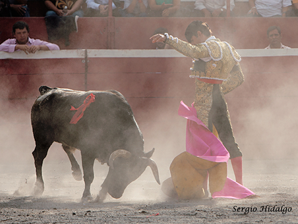 Soltando la punta del capote
