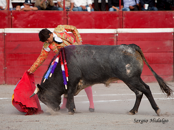Gerardo Adame, esforzado