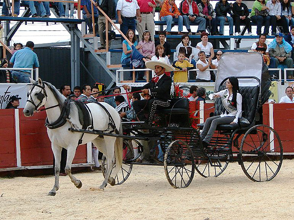 La reina de la feria