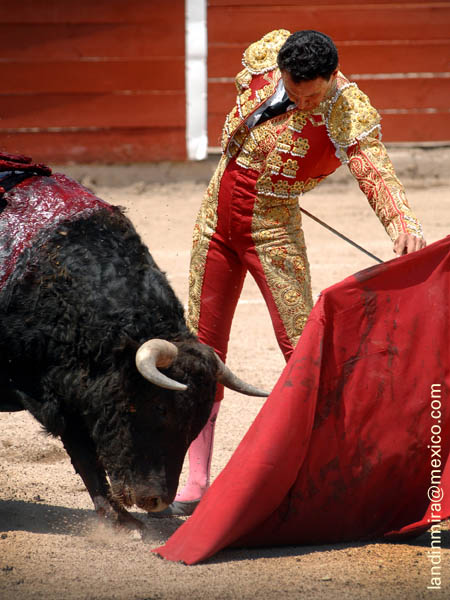 Reposando el natural