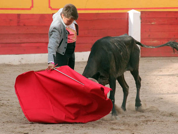 La muleta de Sotomayor