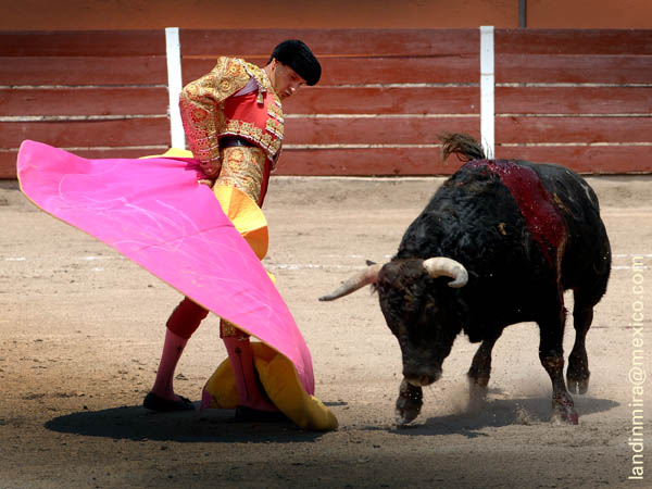 Sp�nola con el quinto