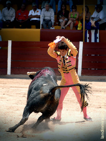 Adornando el morrillo