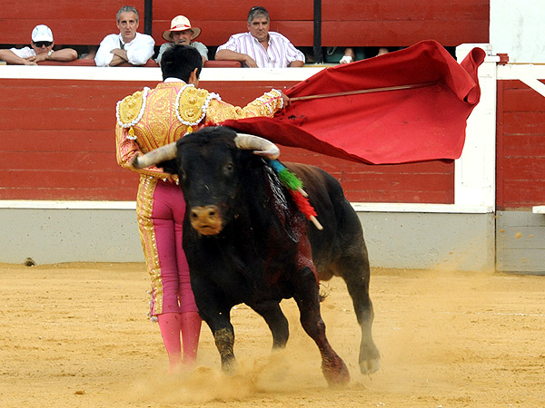 Una ajustada manoletina