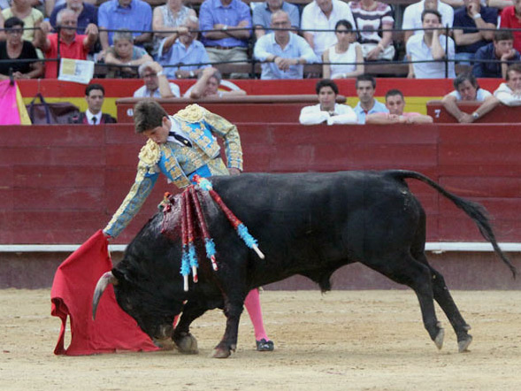 Calibrando la embestida