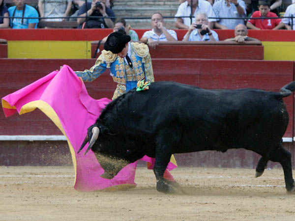 Saludo de capote a su segundo