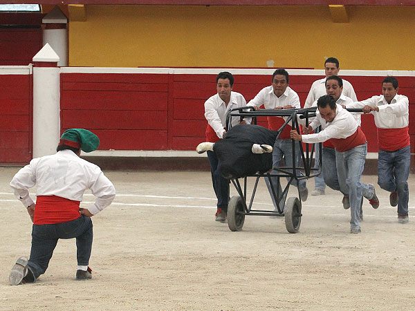 Entrenamiento y clase