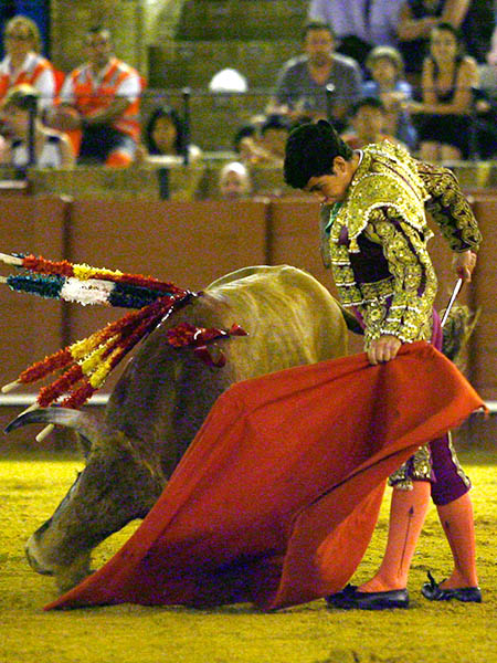 Tirando del ejemplar