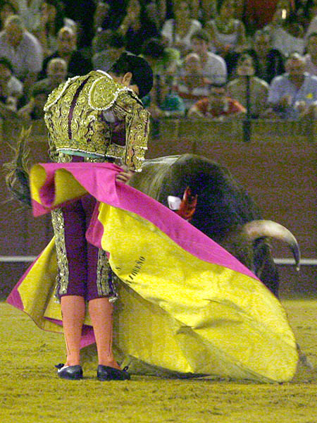 Media de El Manrique�o