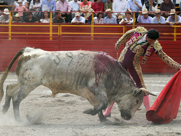 Faena de gran estructura