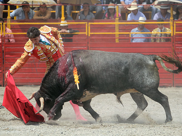 Llev�ndole muy toreado